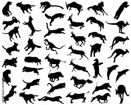 Silhouettes of animals in the high jump, vector illustration © Design Studio RM