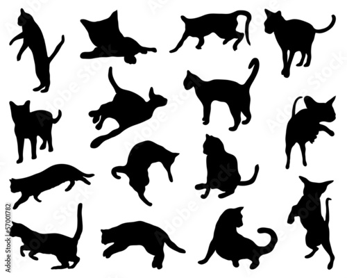 Black silhouette of cats ,vector illustration