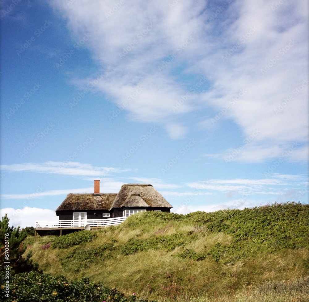 Haus in den Dünen Haus in den Dünen