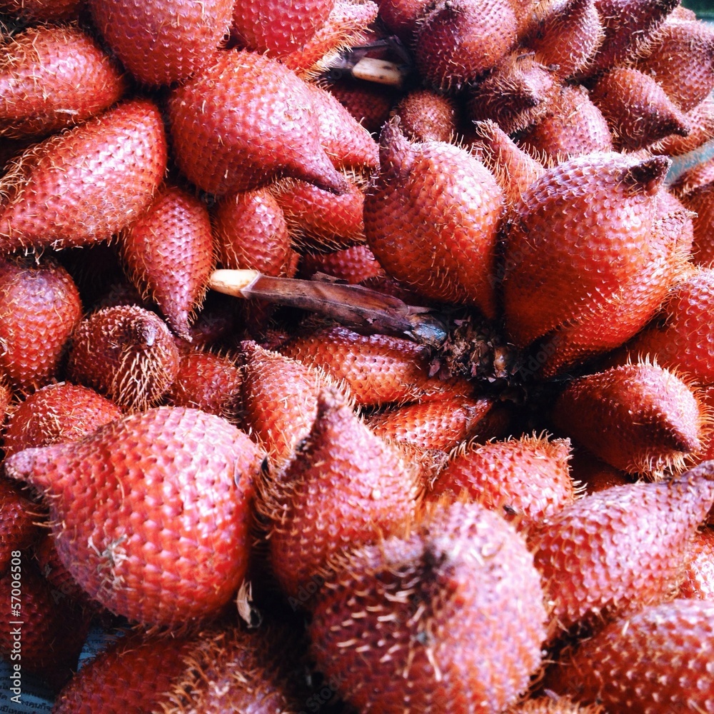 zalacca tropical fruit zalacca tropical fruit