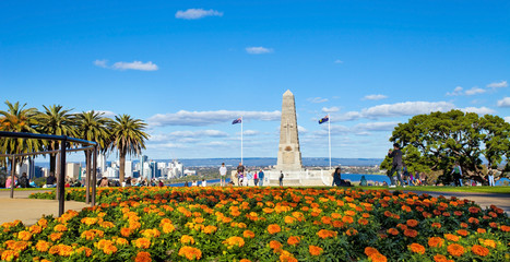 Fotobehang Australië Kings Park in Perth West-Australië  © Marcella Miriello