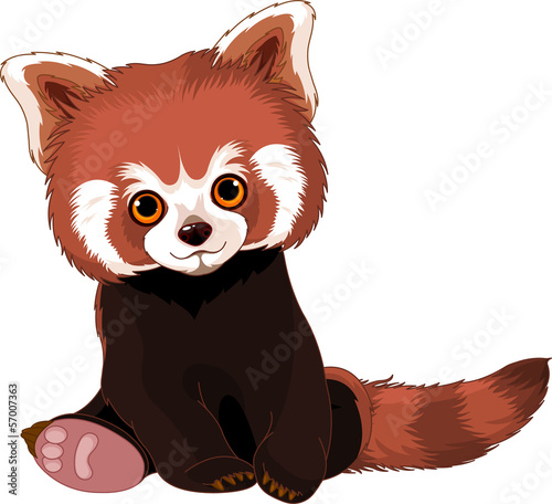 Fototapeta Naklejka Na Ścianę i Meble -  Cute Red Panda