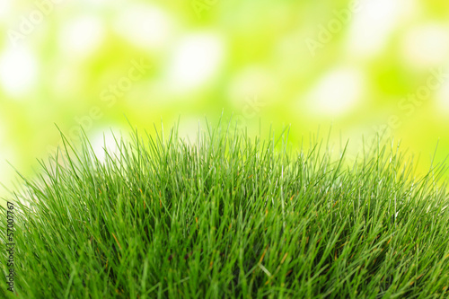 Beautiful green grass on nature background