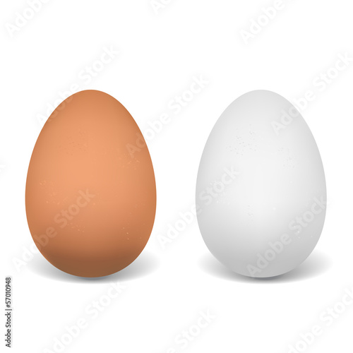 eggs