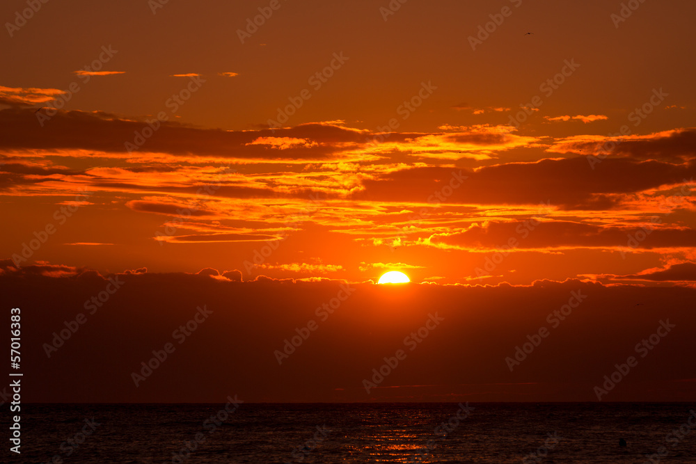 Sunset orange sky background at evening