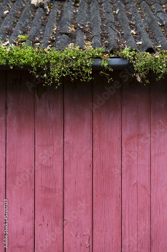 red wood wall with overgrown gutter photo