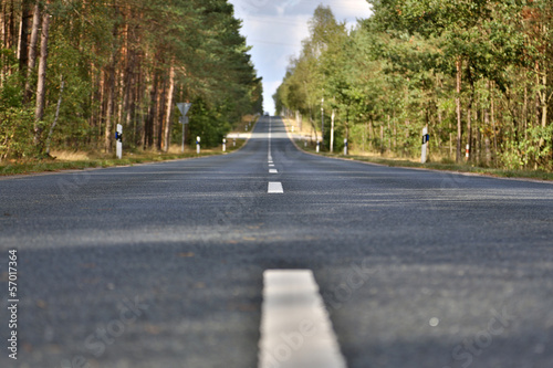 Landstraße in der Lüneburger Heide photo