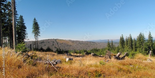 Fototapeta Naklejka Na Ścianę i Meble -  east view from Cerna hora mountain in Sumava
