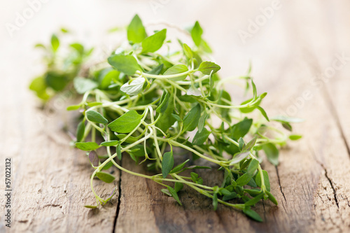 fresh thyme on wooden background