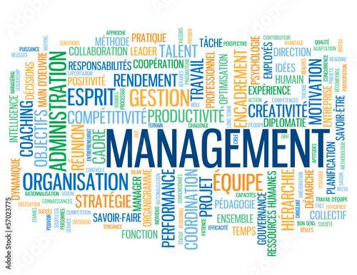 Nuage de Tags "MANAGEMENT" (gestion équipe ressources humaines)