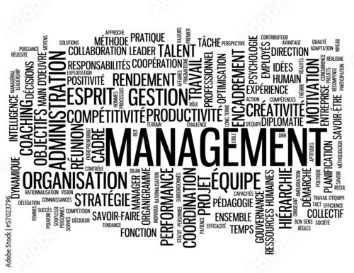 Nuage de Tags "MANAGEMENT" (équipe ressources humaines gestion)