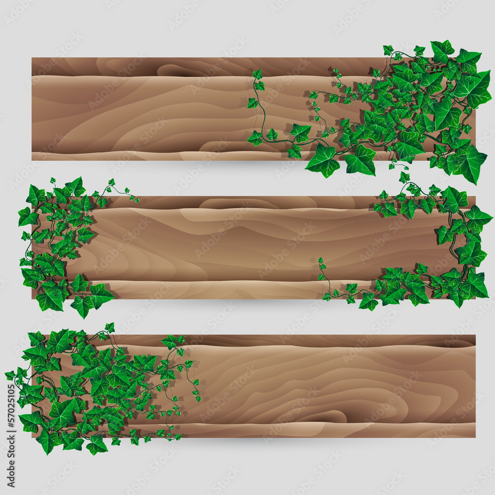 Ivy leaf decorated wood plank vector banner set Ivy leaf decorated wood plank vector banner set
