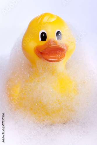 Bath time rubber duck in foam bath