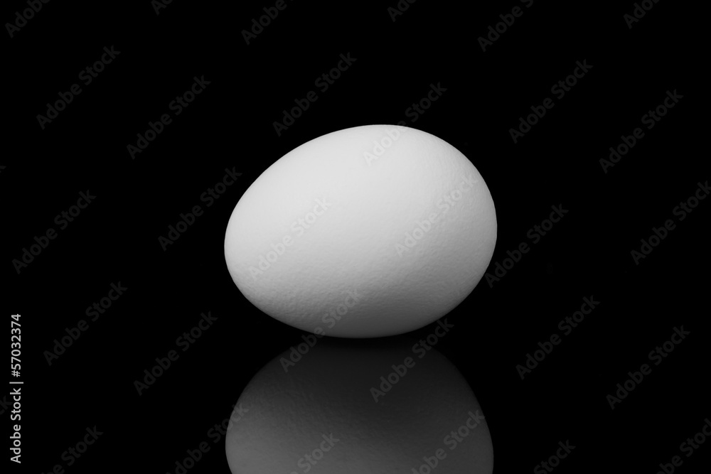 white egg with reflection on black background white egg with reflection on black background