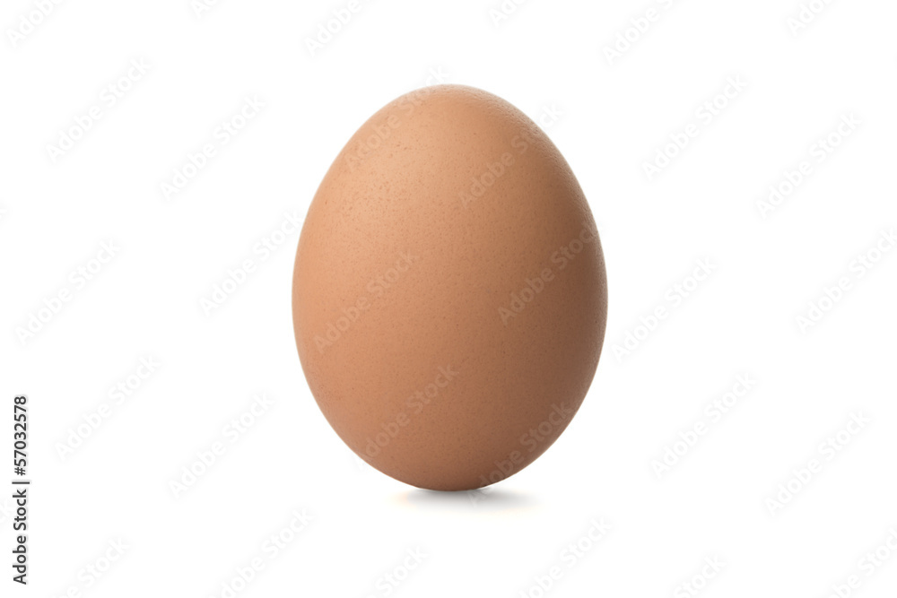 One Chicken Brown egg on white background One Chicken Brown egg on white background
