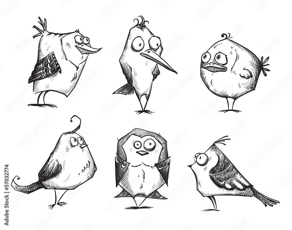 Fototapeta premium Funny cartoon birds, hand drawn