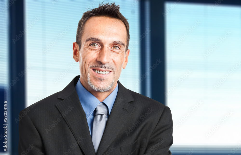 Smiling businessman in his office Smiling businessman in his office