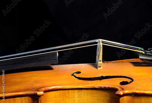 Violin bridge