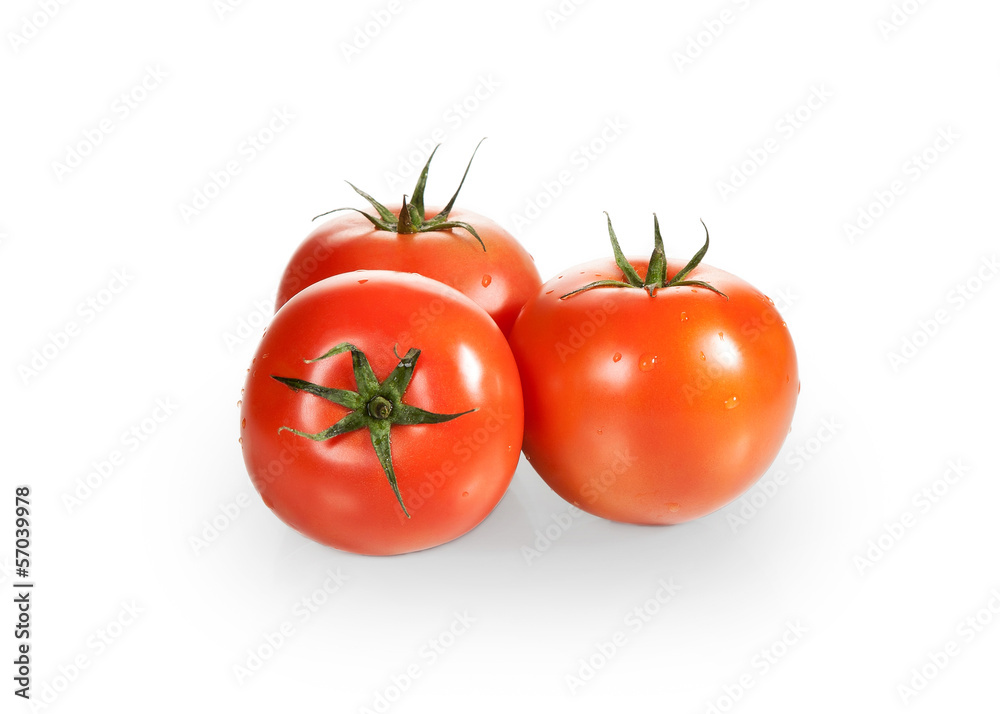 Several red tomato on white background Several red tomato on white background