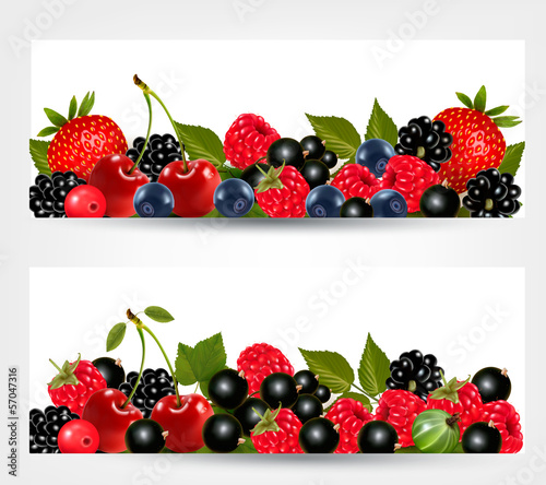 Two banners with delicious ripe berries. Vector.
