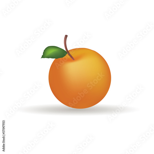 Tangerine