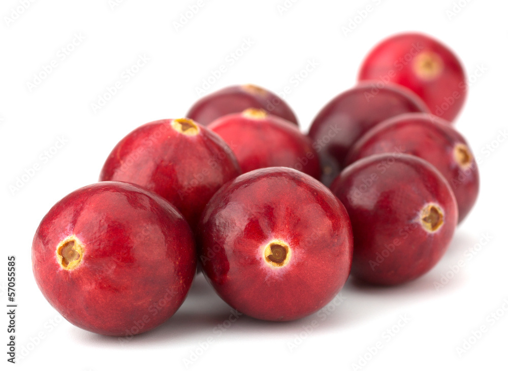 Cranberry isolated on white background closeup