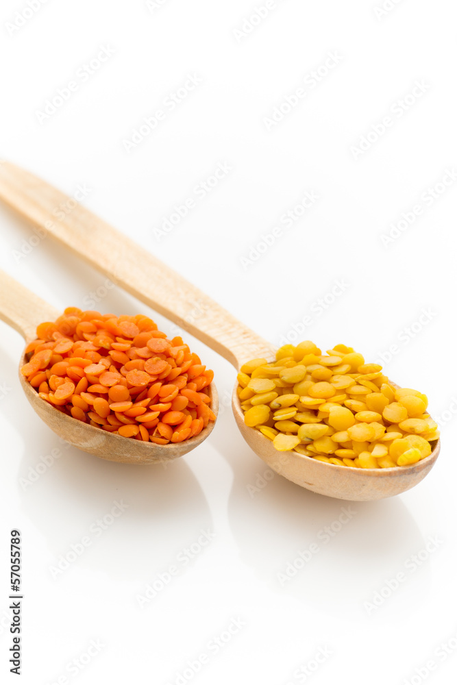 Lentil. Lentil.