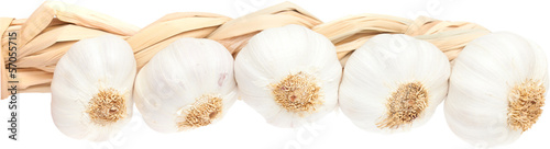 garlic plait isolated on white