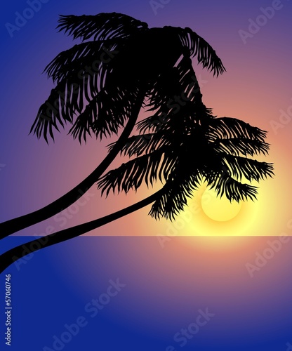 Tropical sunset. Vector background.