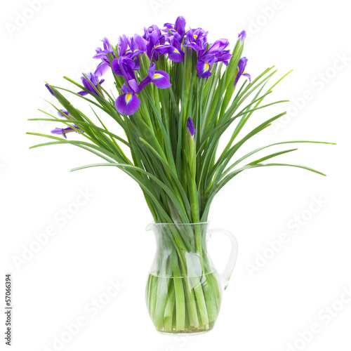 blue irise flowers in vase