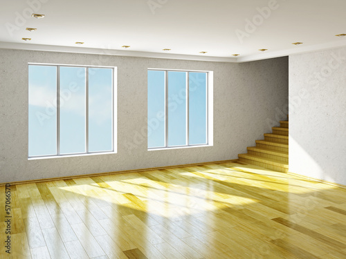 The big empty room