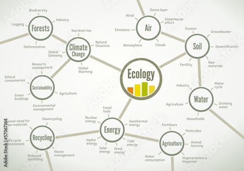 Network of relevant ecology terms