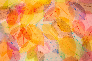 Abstract autumn background