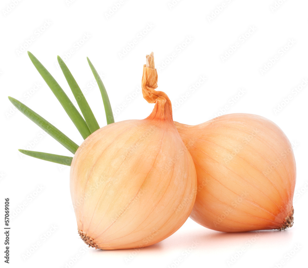 Onion vegetable