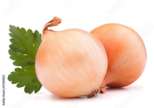 Onion vegetable bulb and parsley leaves still life