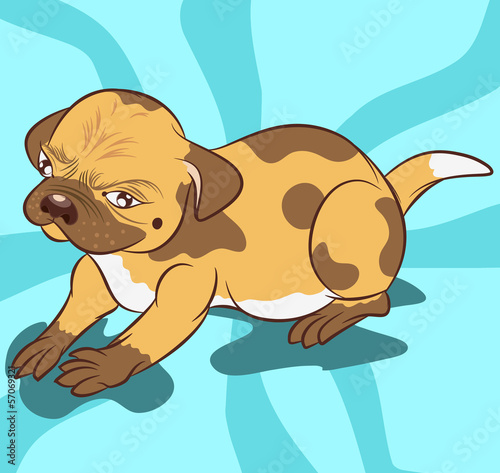 Little Dog illustration vector
