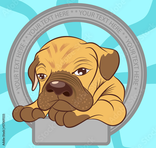 Little Dog illustration vector