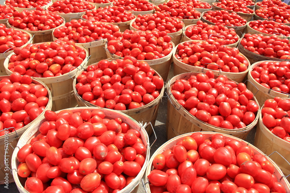 Tomato Bushels 2