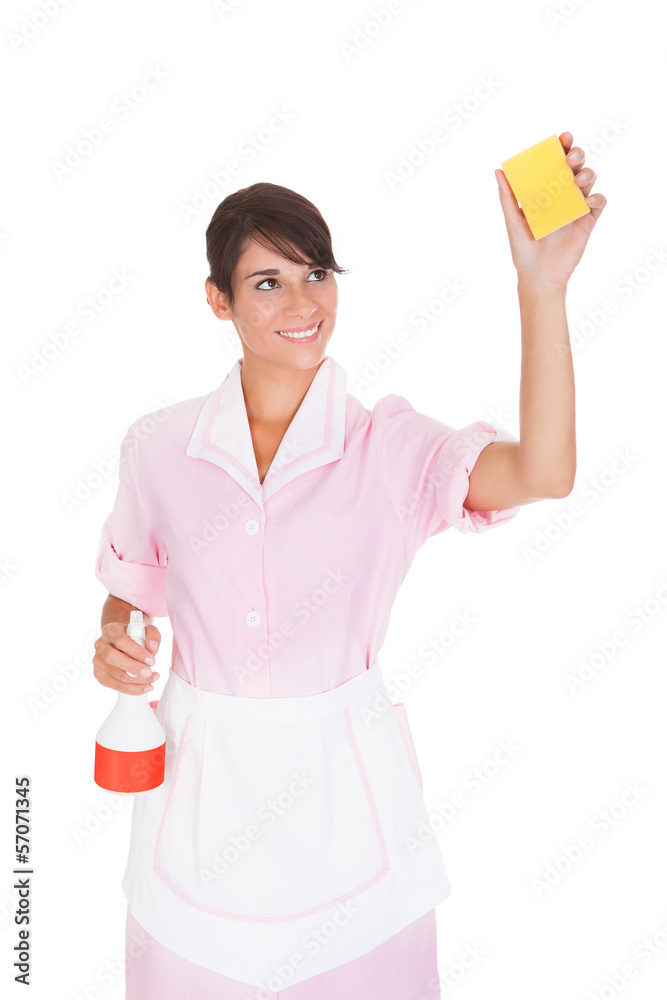 Female Maid With Sponge And Bottle Female Maid With Sponge And Bottle