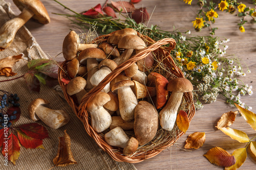 Autumn still-life with full basket of mushrooms