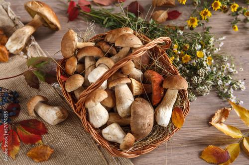 Still-life representing a basket, flowers, mushrooms