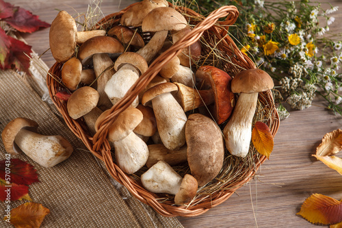 Still life of boletus mushrooms in a basket