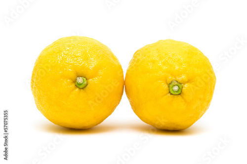 Two lemon closeup on white background
