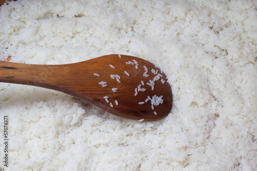 Fried japan rice in hangiri photo