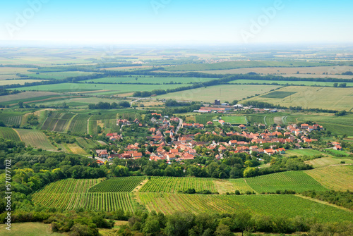 Fertile green vineyards and small village in summer