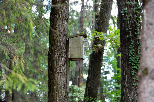 bird house hanging on a tree photo