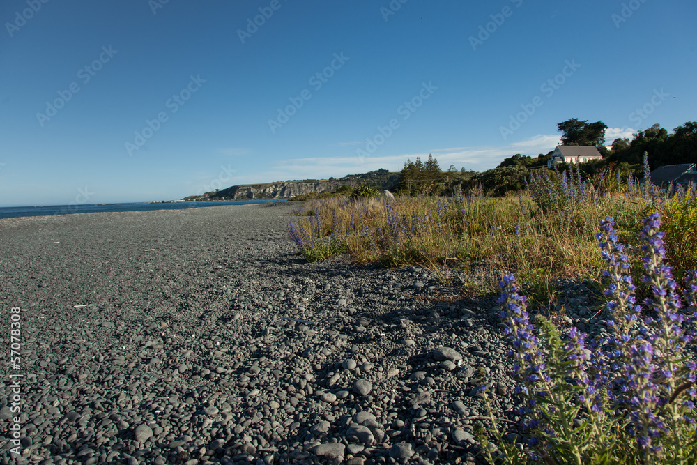 Obraz premium Strand in Neuseeland