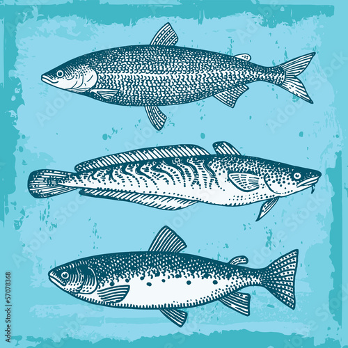 Set Of Fishes