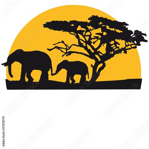 Sunset In Africa Tree And Elephants