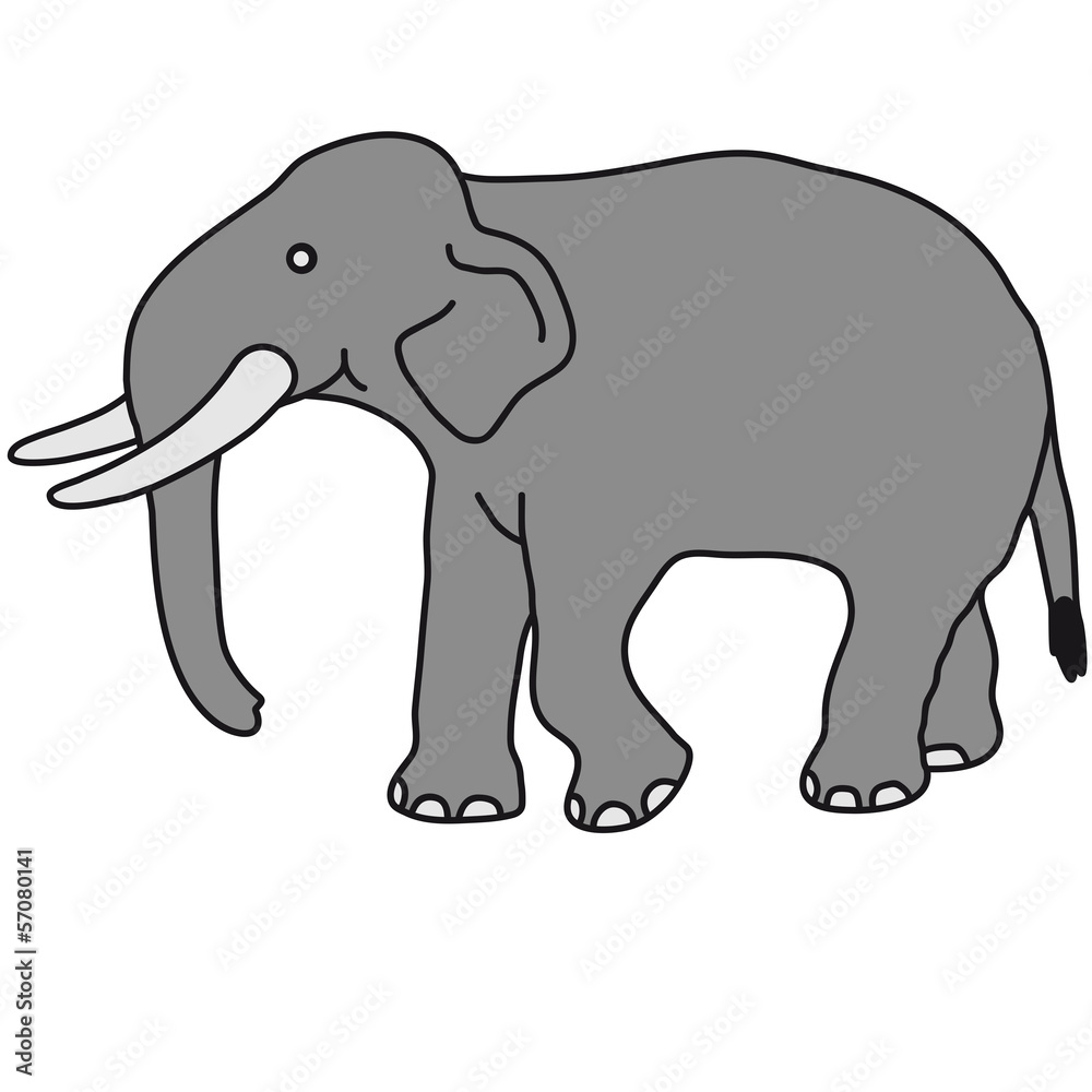 Elephant